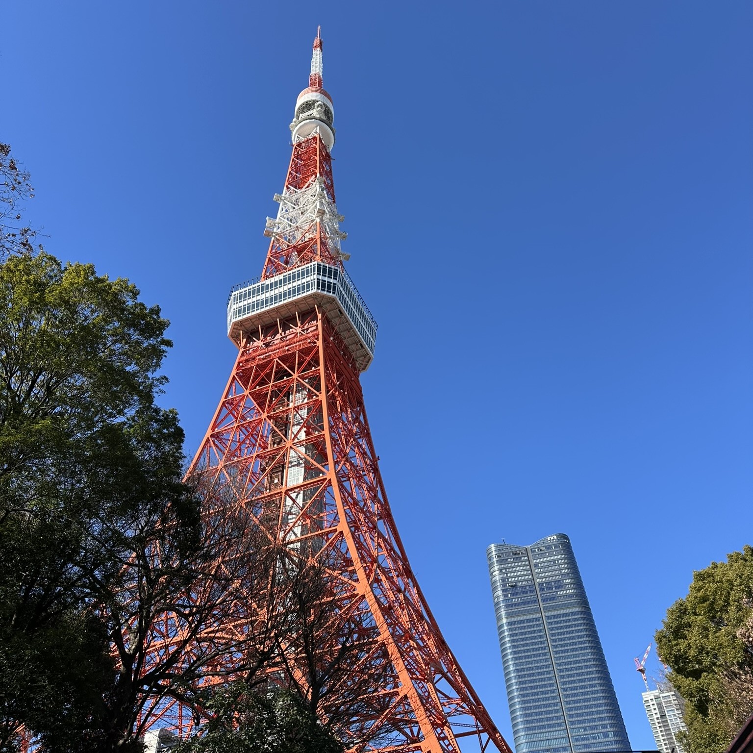 はとバス TOKYOパノラマドライブ 東京タワー